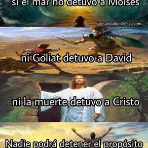 Meet your Posher, Leonor